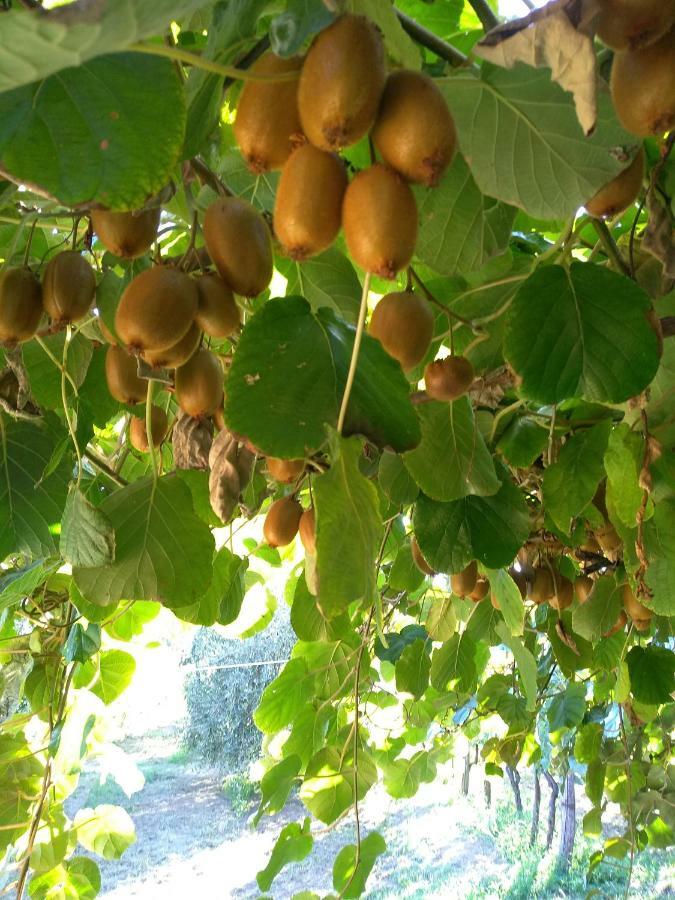 Appartamento Il Brolo *
